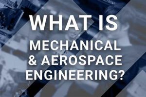 Your Path to the Skies: UCSD Aerospace Engineering Excellence Safem Fabrication - Precision Engineering & Custom Manufacturing Solutions Your Path to the Skies: UCSD Aerospace Engineering Excellence | Safem Fabrication - Precision Engineering & Custom Manufacturing Solutions