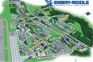 Explore Emory's Pre-Aerospace Engineering Path Innovating the Future of Flight with Reliable Aviation Solutions Explore Emory's Pre-Aerospace Engineering Path | Innovating the Future of Flight with Reliable Aviation Solutions