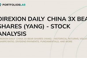 Bearish on Aerospace? 3x the Inverse with Direxion Shares Innovating the Future of Flight with Reliable Aviation Solutions Bearish on Aerospace? 3x the Inverse with Direxion Shares | Innovating the Future of Flight with Reliable Aviation Solutions