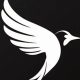 Investing in Vertical Aerospace Stock: Is It Worth It? | Innovating the Future of Flight with Reliable Aviation Solutions