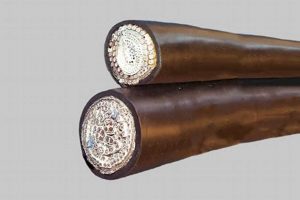 Premium Aerospace & Defense Custom Bulk Cable Solutions Innovating the Future of Flight with Reliable Aviation Solutions Premium Aerospace & Defense Custom Bulk Cable Solutions | Innovating the Future of Flight with Reliable Aviation Solutions