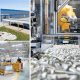 Lisi Aerospace Company: Innovations & Solutions | Innovating the Future of Flight with Reliable Aviation Solutions