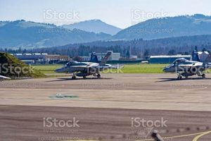 Top Swiss Aerospace Companies: Your Ultimate Guide Innovating the Future of Flight with Reliable Aviation Solutions Top Swiss Aerospace Companies: Your Ultimate Guide | Innovating the Future of Flight with Reliable Aviation Solutions