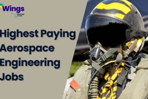 Top Aerospace Jobs: High Paying Engineering Careers [2024] | Innovating the Future of Flight with Reliable Aviation Solutions