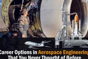 Degree to Space: Can You Become an Astronaut with Aerospace Engineering? | Innovating the Future of Flight with Reliable Aviation Solutions