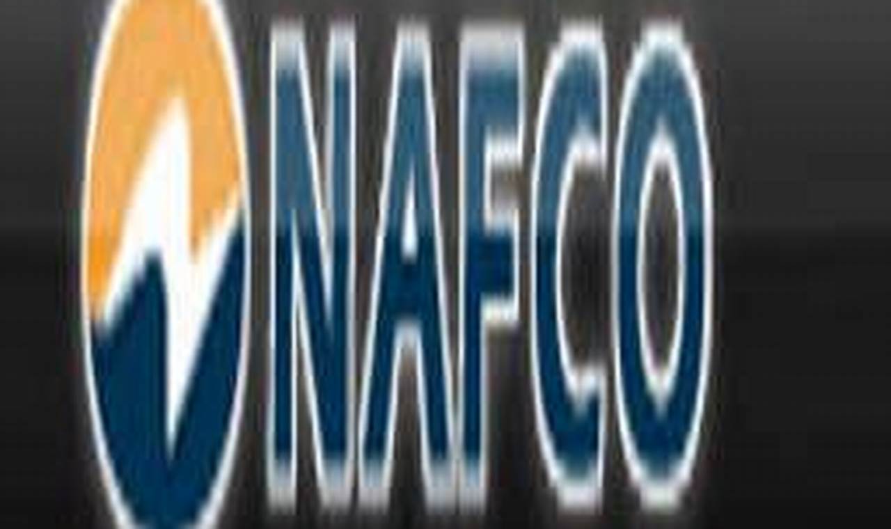 Buy from National Aerospace Fasteners Corp. | [Year] | Innovating the Future of Flight with Reliable Aviation Solutions