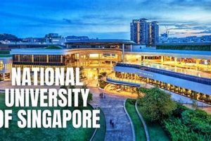 Study Aerospace Engineering at National University of Singapore | Innovating the Future of Flight with Reliable Aviation Solutions