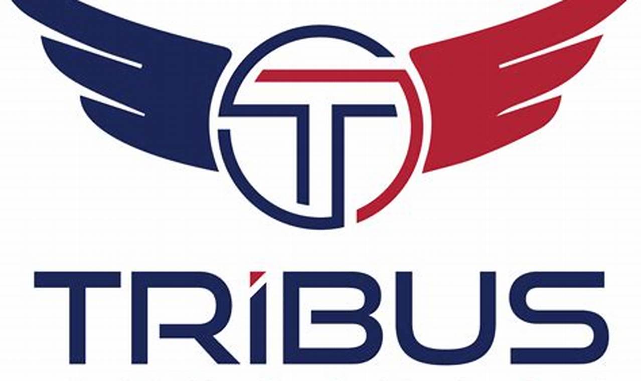 Tribus Aerospace Corporation: Innovation Soars | Innovating the Future of Flight with Reliable Aviation Solutions