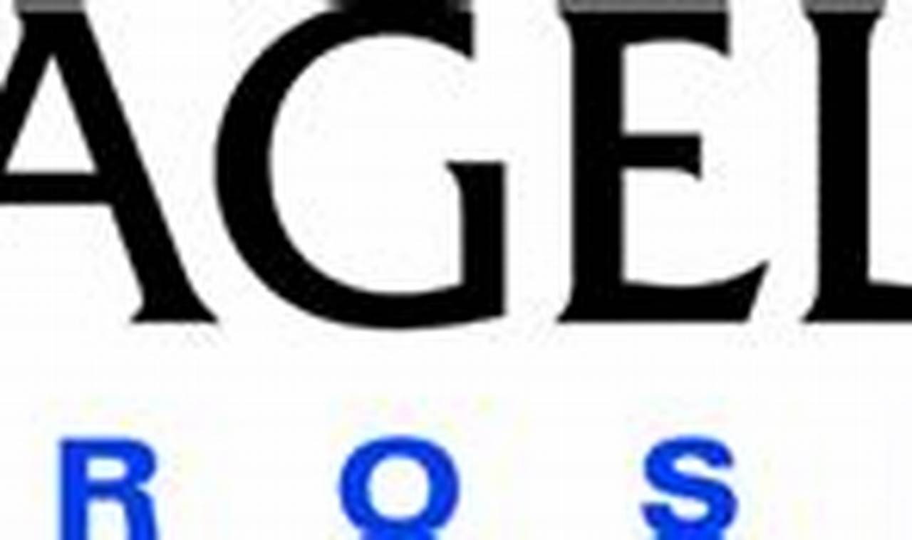 Launch Your Career: Magellan Aerospace Careers Today! | Innovating the Future of Flight with Reliable Aviation Solutions