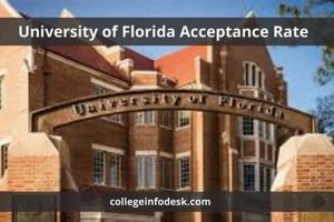 UF Aerospace Engineering Acceptance Rate: Get In! [2024] | Innovating the Future of Flight with Reliable Aviation Solutions