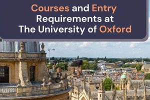 Ace Oxford Aerospace Engineering: Entry Requirements &amp; More | Innovating the Future of Flight with Reliable Aviation Solutions