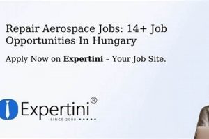 Find Top Aerospace Jobs NI Today! | Innovating the Future of Flight with Reliable Aviation Solutions