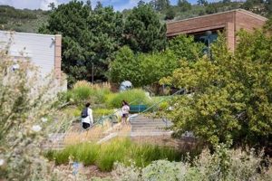 Explore TCU Aerospace Engineering: Soar Higher! | Innovating the Future of Flight with Reliable Aviation Solutions