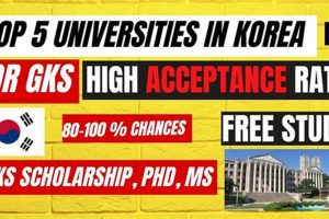 Unlock: Korea Aerospace University Acceptance Rate [Guide] | Innovating the Future of Flight with Reliable Aviation Solutions