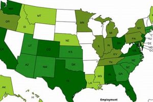 Aerospace Engineer Count: How Many in the US? | 2024 | Innovating the Future of Flight with Reliable Aviation Solutions