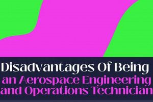 Aviation Careers: Aerospace Engineering Disadvantages Examined | Innovating the Future of Flight with Reliable Aviation Solutions