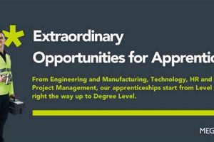 Find Meggitt Aerospace Jobs: Careers & Opportunities | Innovating the Future of Flight with Reliable Aviation Solutions