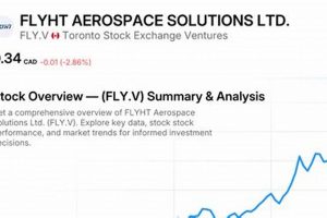 FLYHT Aerospace Stock: Analysis & Forecasts (2024) | Innovating the Future of Flight with Reliable Aviation Solutions