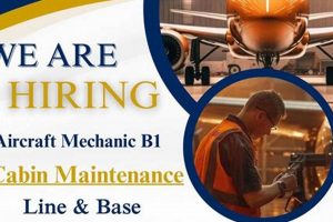 Your Guide: Aerospace Jobs in Qatar + Salary & How to Find Innovating the Future of Flight with Reliable Aviation Solutions Your Guide: Aerospace Jobs in Qatar + Salary & How to Find | Innovating the Future of Flight with Reliable Aviation Solutions