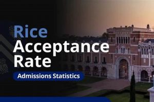 Decoding Rice Aerospace Academy Acceptance Rate + Tips Innovating the Future of Flight with Reliable Aviation Solutions Decoding Rice Aerospace Academy Acceptance Rate + Tips | Innovating the Future of Flight with Reliable Aviation Solutions