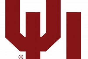 OU Aerospace Engineering: Soaring into the Future! | Innovating the Future of Flight with Reliable Aviation Solutions