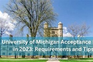UMich Aerospace Acceptance: Rates, Tips + How to Get In! Innovating the Future of Flight with Reliable Aviation Solutions UMich Aerospace Acceptance: Rates, Tips + How to Get In! | Innovating the Future of Flight with Reliable Aviation Solutions