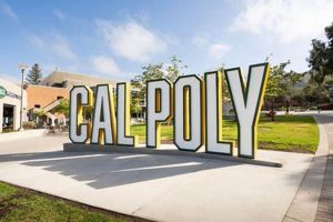 Cal Poly Aerospace Engineering: Ranking &amp; Beyond | Innovating the Future of Flight with Reliable Aviation Solutions