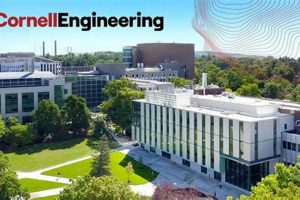 Top Cornell Aerospace Engineering Degree: Your Undergrad Path | Innovating the Future of Flight with Reliable Aviation Solutions