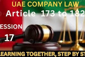 Top UAE Aerospace Companies: Growth & Future | Innovating the Future of Flight with Reliable Aviation Solutions