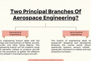 Exploring Branches in Aerospace Engineering: A Career Guide | Innovating the Future of Flight with Reliable Aviation Solutions
