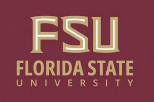 Top FSU Aerospace Engineering: Program & Careers Innovating the Future of Flight with Reliable Aviation Solutions Top FSU Aerospace Engineering: Program & Careers | Innovating the Future of Flight with Reliable Aviation Solutions