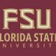 Top FSU Aerospace Engineering: Program & Careers | Innovating the Future of Flight with Reliable Aviation Solutions
