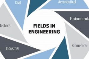 Exploring Different Fields in Aerospace Engineering Today Innovating the Future of Flight with Reliable Aviation Solutions Exploring Different Fields in Aerospace Engineering Today | Innovating the Future of Flight with Reliable Aviation Solutions