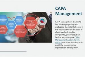 Streamline Aerospace: CAPA Software for Industry Success | Innovating the Future of Flight with Reliable Aviation Solutions
