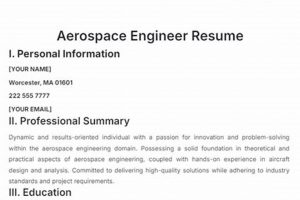Top Aerospace Engineer Resume Tips + Examples | Innovating the Future of Flight with Reliable Aviation Solutions