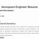 Top Aerospace Engineer Resume Tips + Examples | Innovating the Future of Flight with Reliable Aviation Solutions