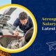 A Guide: Aerospace Engineer Salary in Germany [Updated] | Innovating the Future of Flight with Reliable Aviation Solutions