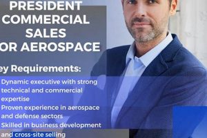 Leading as Vice President of Aerospace Manufacturing Co: Strategies | Innovating the Future of Flight with Reliable Aviation Solutions