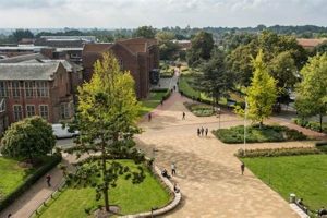 Your Aerospace Future: Uni of Bath Engineering Degree | Innovating the Future of Flight with Reliable Aviation Solutions