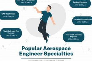 Top Career Options for Aerospace Engineering: A Guide | Innovating the Future of Flight with Reliable Aviation Solutions