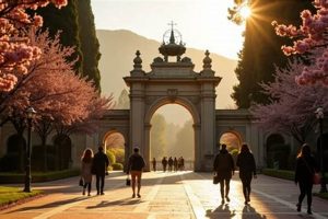 Decoding UCSD Aerospace Engineering Acceptance Rate + Tips | Innovating the Future of Flight with Reliable Aviation Solutions
